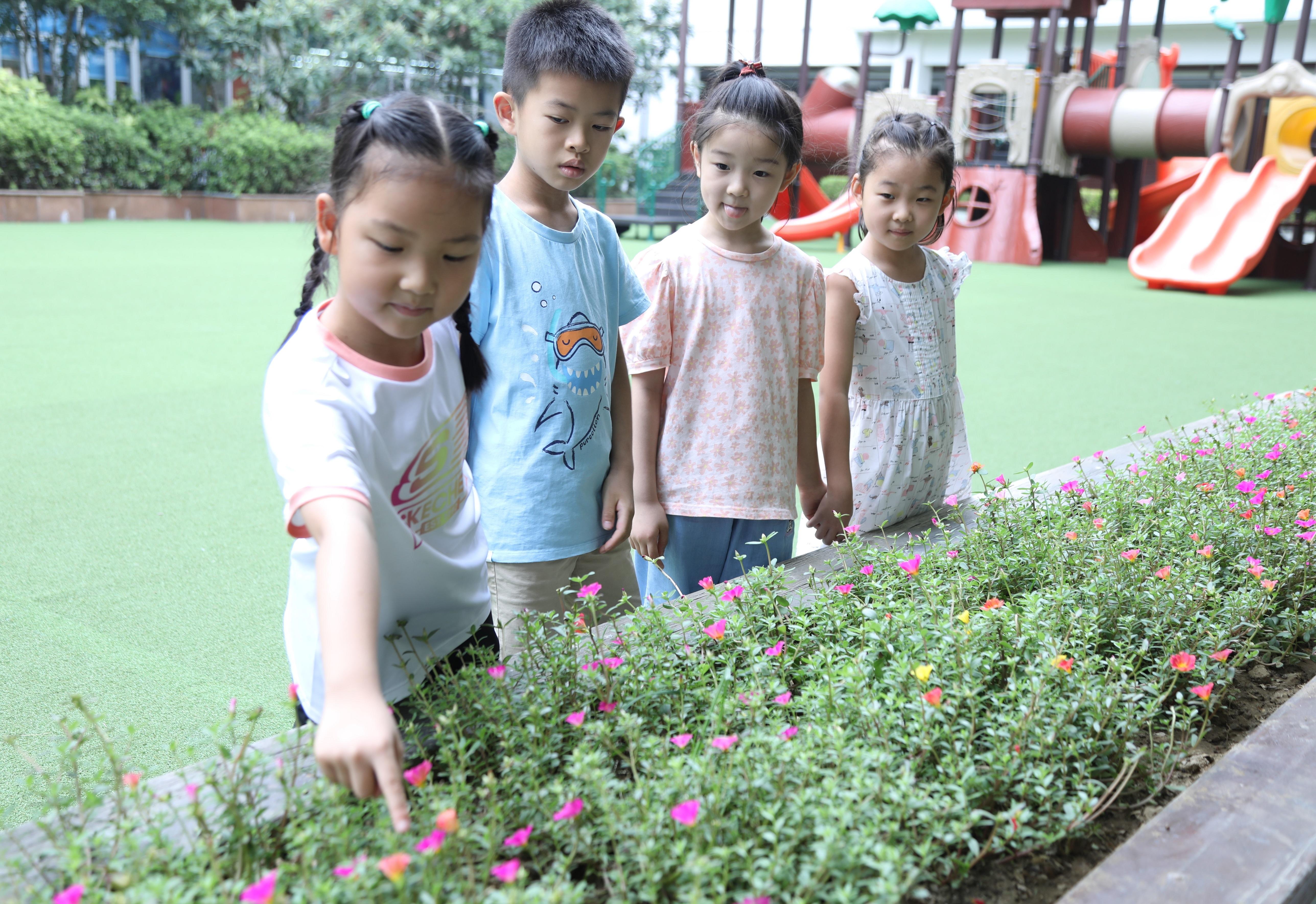 35589fff-dfa6-4049-9d4f-51c42d207803.jpg