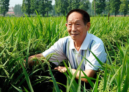 图620201117172410.jpg